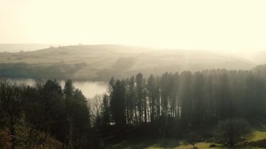 Kırsal göl ve çam ağaçları Tepesi Bölge Ulusal Parkı sisli bir günde 4k hava aracı seçici odak noktasında