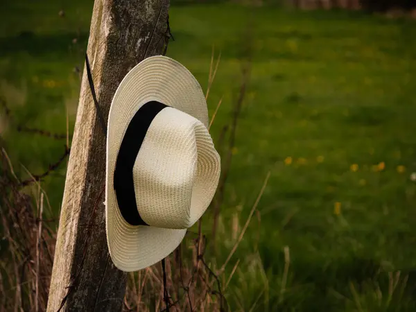 Yazın çayırda asılı duran hasır şapka seçici odak noktası.