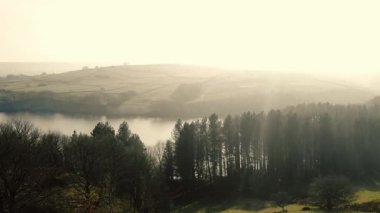 Kırsal göl ve çam ağaçları Tepesi İlçe Ulusal Parkı sisli bir günde zoom insansız hava aracı seçici odak noktası