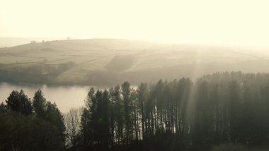 Kırsal göl ve çam ağaçları Tepesi İlçe Ulusal Parkı sisli bir günde zoom insansız hava aracı seçici odak noktası