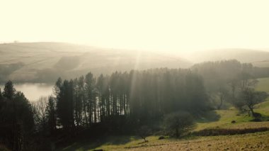 Kırsal göl ve çam ağaçları Tepesi Bölge Ulusal Parkı sisli bir günde 4k hava aracı seçici odak noktasında
