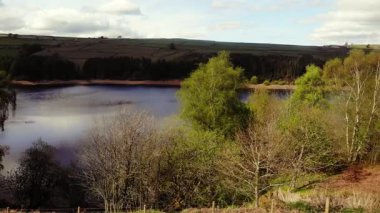 Tepe İlçesi Ulusal Parkı 'ndaki ağaçlar ve tarlalar çevresindeki göl mavi gökyüzü geniş 4k hava aracı seçici odak noktası