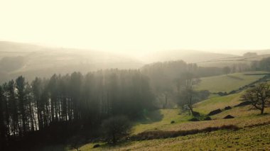 Kırsal göl ve çam ağaçları Tepesi Bölge Ulusal Parkı sisli bir günde 4k hava aracı seçici odak noktasında