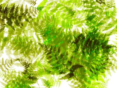 Çimenler ve eğrelti otları beyaz arkaplandaki yeşil çiçek desenleri.