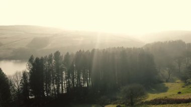 Kırsal göl ve çam ağaçları Tepesi İlçe Ulusal Parkı sisli bir günde zoom insansız hava aracı seçici odak noktası