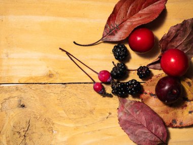 Kırsal ahşap arka planda sonbahar yaprakları ve böğürtlenler seçici odak noktası 