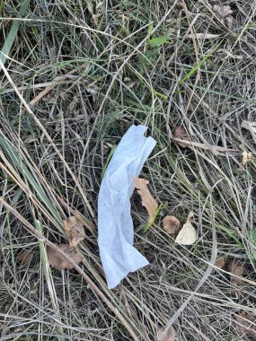 Beyaz ıslak peçete çimlerin üzerinde yatıyor. Park peçetesi kirliliği