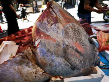 Açık deniz ürünleri pazarında Akdeniz Balığı, Napoli