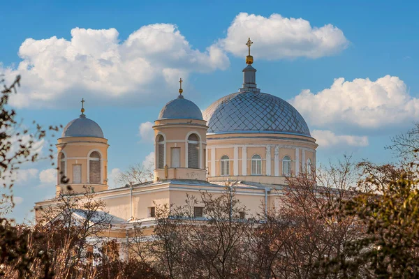 キエフのアレクサンダー教会のドーム 高品質の写真 — ストック写真