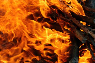 Yakacak odun ve kömür yakacağız. Yüksek kalite fotoğraf