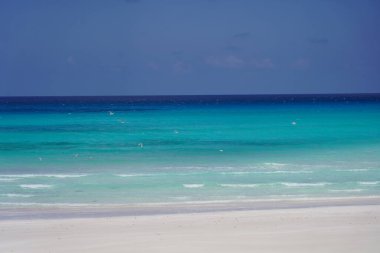 Güzel tropik ada manzarası: Mavi deniz ve beyaz kumlu plaj - Socotra Adası, Yemen