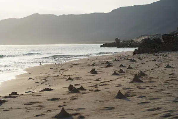 Güzel tropikal ada gündoğumu manzarası: Sahildeki kum tepeleri - Socotra Adası, Yemen