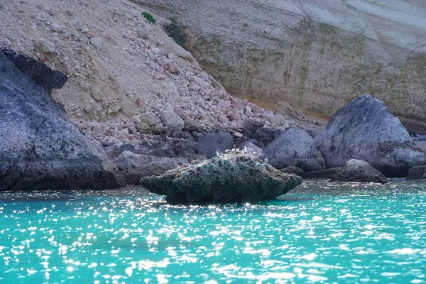Rocky Sahili ve Parlak Mavi Deniz Bir Yaz Gününde, Socotra 'da güzel bir tropikal ada