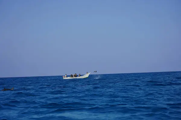 Denizdeki bir teknenin önüne atlayan bir yunus.