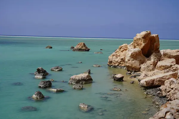 Güzel tropikal ıssız ada: Mavi deniz, kayalık plaj, şeffaf deniz suyu - Socotra Adası, Yemen