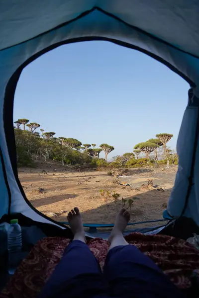 Yemen 'deki Socotra Adası' nda Ejderha Kanlı Orman Çadırının İçinde Oturan Genç Turist