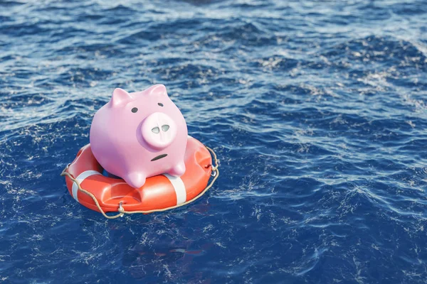 水面上浮在救生圈上的粉色小猪群的三维绘制图 — 图库照片