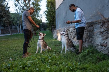 İki arkadaş hayvanlarına köpek maması veriyor..