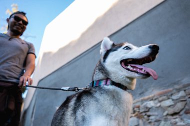 Siyah gözlüklü bir adam parkta köpeğini gezdiriyor..
