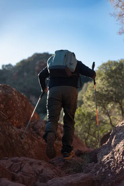 Middle-aged man climbs the mountain in the Garraf Natural Park, supported by hiking poles.