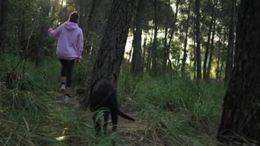 Bir kadın ve köpeği ağaçların arasından akan güneş ışığıyla ormanda yürür..