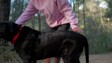 Bir kadın sabah onunla yürürken ormanda köpeğiyle oynuyor..