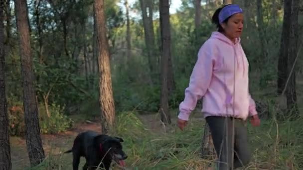 Mujer Pasea Entre Árboles Hierba Con Perro Mayor Mañana — Vídeos de Stock