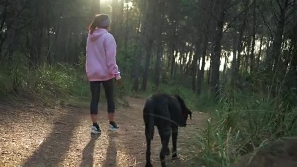 Una Mujer Perro Pasean Por Bosque Una Hermosa Mañana — Vídeos de Stock