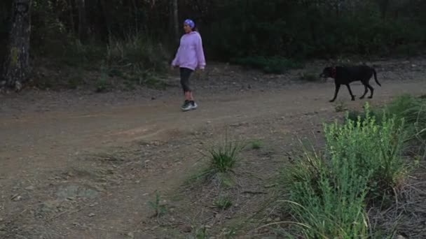 Una Mujer Camina Vuelta Con Perro Mayor Después Dar Paseo — Vídeos de Stock