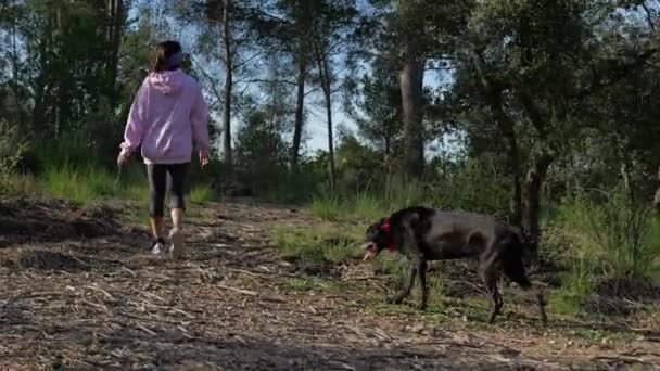 Yaşlı Köpeğiyle Birlikte Günlük Yürüyüşlerinden Sonra Eve Yürüyen Bir Kadın — Stok video