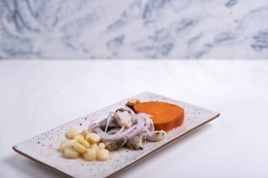 Peru 'da Ceviche adında çok popüler bir yemek, beyaz arka planda beyaz bir tepside servis ediliyor..