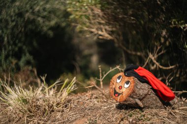 Caga ti denilen Katalan geleneğinden doğal bir ortamda Noel nesnesi..