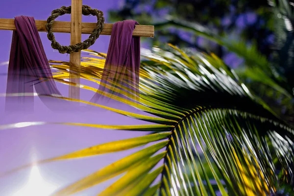 stock image Holy Week. Detail of branches with selective focus. Traditional Catholic celebration Palm Sunday. Christian faith. Religious symbol.