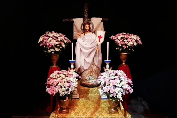 Risen Jesus Christ image of the catholic church - Catholic symbol