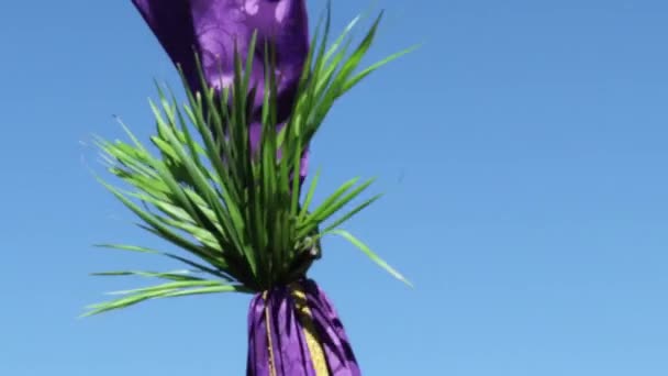 Holy Week Processional Cross Branches Traditional Catholic Celebration Palm Sunday — Video Stock