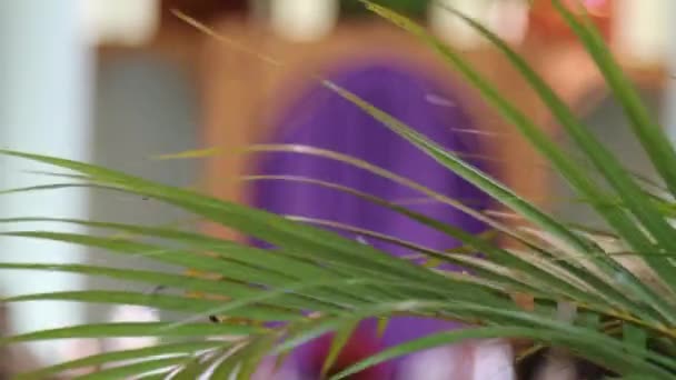 Wielki Tydzień Tradycyjne Katolickie Świętowanie Niedziela Palmowa Chrześcijańska Wiara Symbol — Wideo stockowe