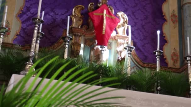 Svatý Týden Tradiční Katolická Oslava Palm Sunday Křesťanská Náboženský Symbol — Stock video