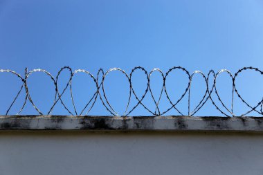 concertina metal security fence installed on a wall and blue sky background clipart