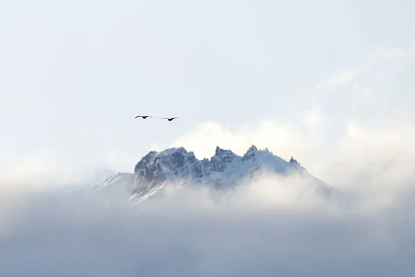 在洛斯冰河国家公园的El Chaltn市附近的山岗上 Cerro Torre周围的山脉 冬季野生巴塔哥尼亚 — 图库照片