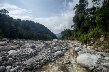 Sel sonrası Ruwenzori Dağları 'ndaki Nyamwamba Nehri' nin akışı. Nehir yatağı ve ormanda büyük kayalar..