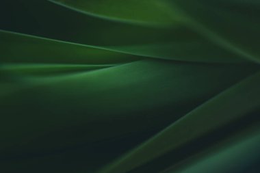 Koyu yeşil yaprak dokusu, doğal yeşil yapraklar arka plan duvar kağıdı ya da tropikal yaprak kapağı sayfası olarak kullanılır