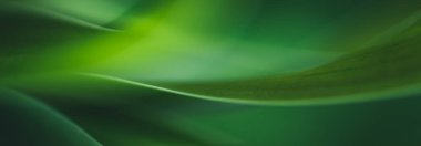 Koyu yeşil yaprak dokusu, doğal yeşil yapraklar arka plan duvar kağıdı ya da tropikal yaprak kapağı sayfası olarak kullanılır