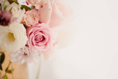 Kapak sayfası olarak doğal bitki örtüsü duvar kâğıdı ya da broşür iniş sayfası tasarımı kullanılıyor.