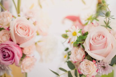 Kapak sayfası olarak doğal bitki örtüsü duvar kâğıdı ya da broşür iniş sayfası tasarımı kullanılıyor.