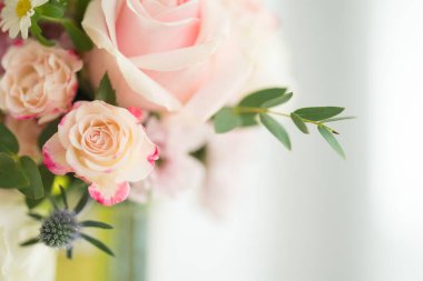 Kapak sayfası olarak doğal bitki örtüsü duvar kâğıdı ya da broşür iniş sayfası tasarımı kullanılıyor.