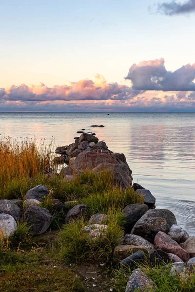 Vertical photo of sunset at a little rock pier during autumn evening. Glacial boulders tier with grass and brown reeds in calm sea. Calm fall evening with pink clouds at seawall.