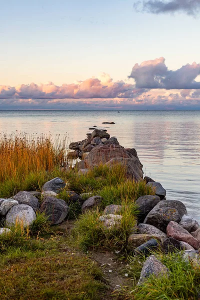 Vertical photo of a little rock pier at sunset at autumn evening. Glacial boulders tier among grass and brown reeds in calm sea above pink clouds. Calm evening at seawall.