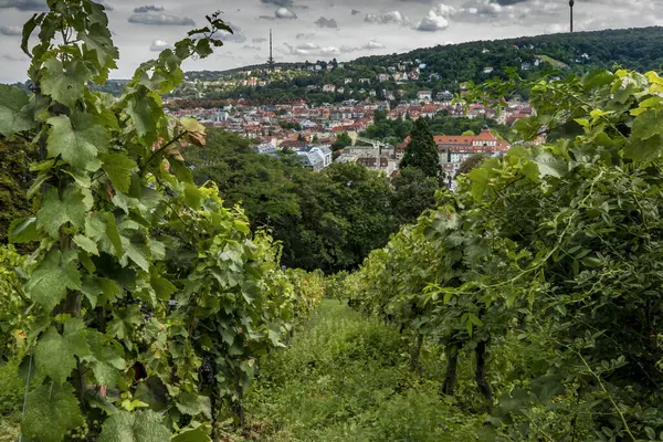 Stuttgart, Almanya Görünümü