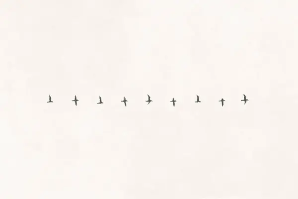 Ilustracja Przebiegu Lotu Ptaka Wędrownego Obraz Stockowy