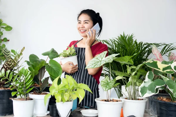 Asian woman plants owner shop talking on smartphone standing with plants selling, get an order from a customer, small business concept